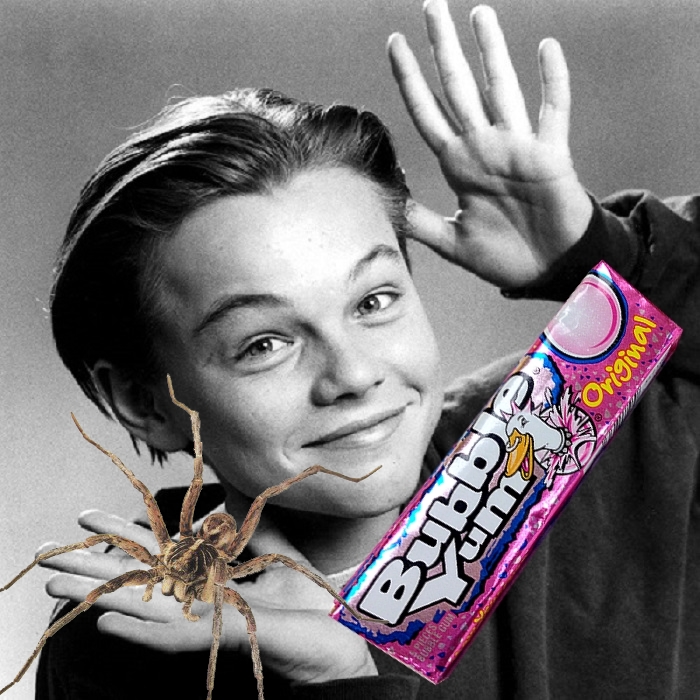leonardo-dicaprio-bubble yum spider