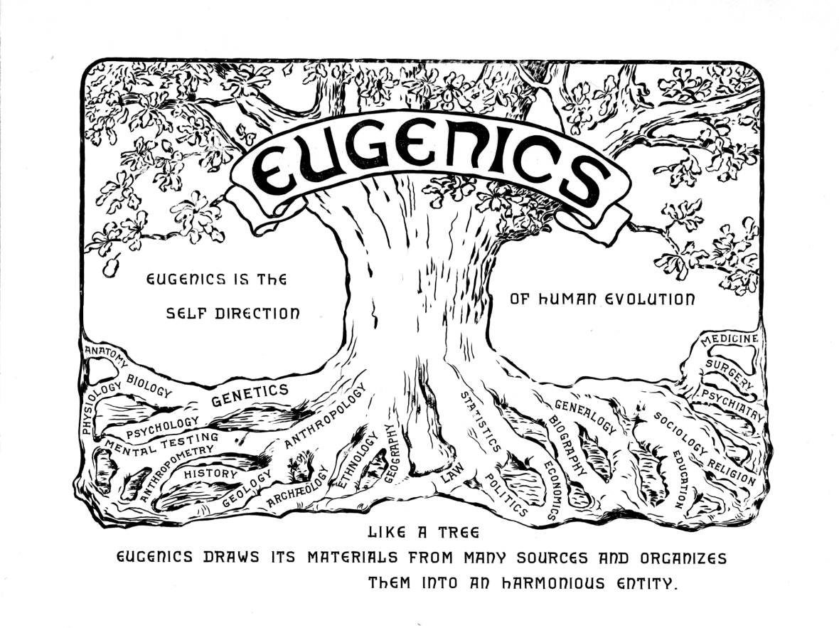 z p2eugenics-copy