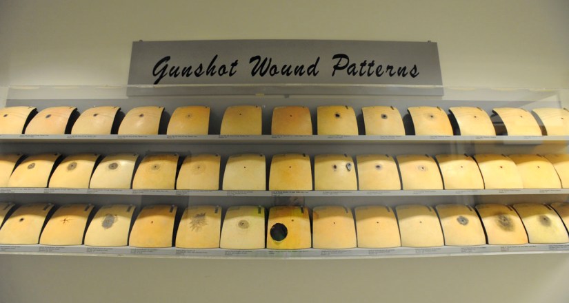 BS-md-p3-hidden-maryland-morgue-fox