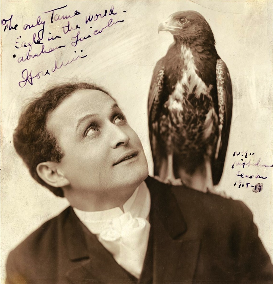 Houdini &amp; bird