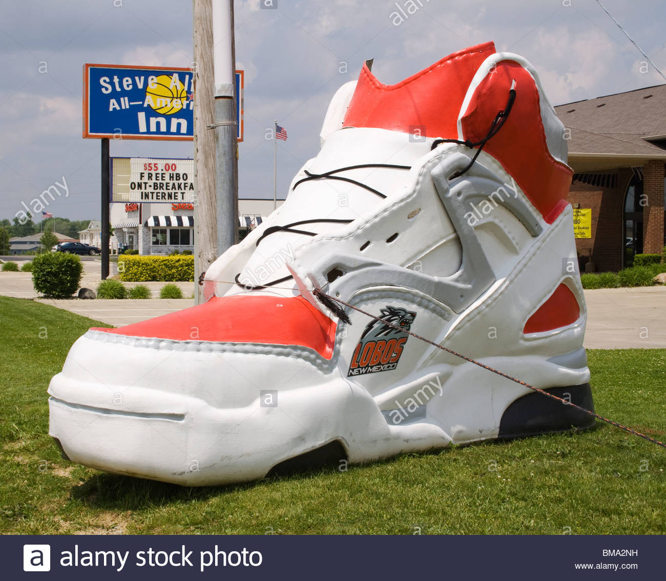 z giant-sneaker-at-a-shoe-store-in-new-castle-indiana-BMA2NH