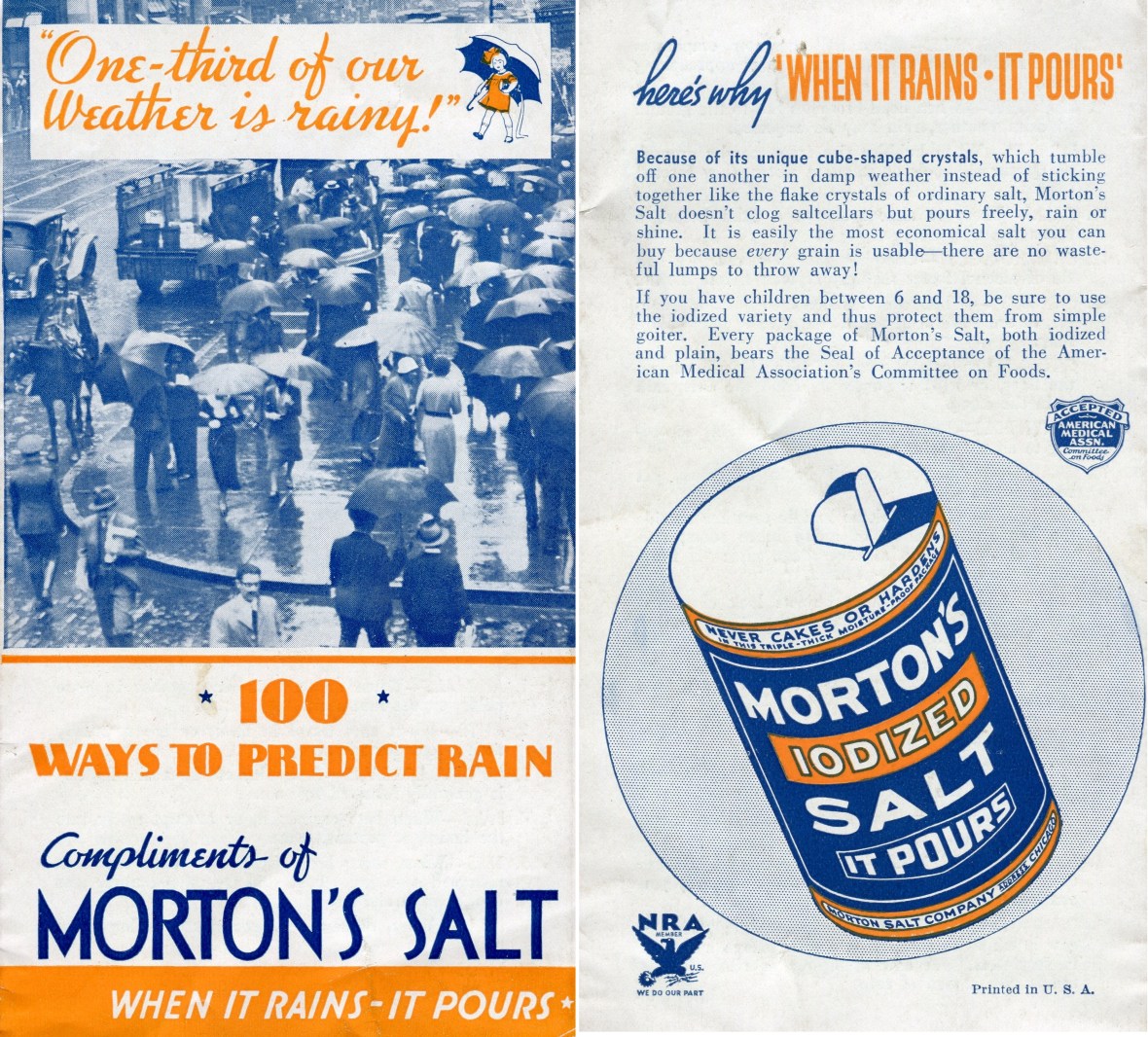 Morton's article image